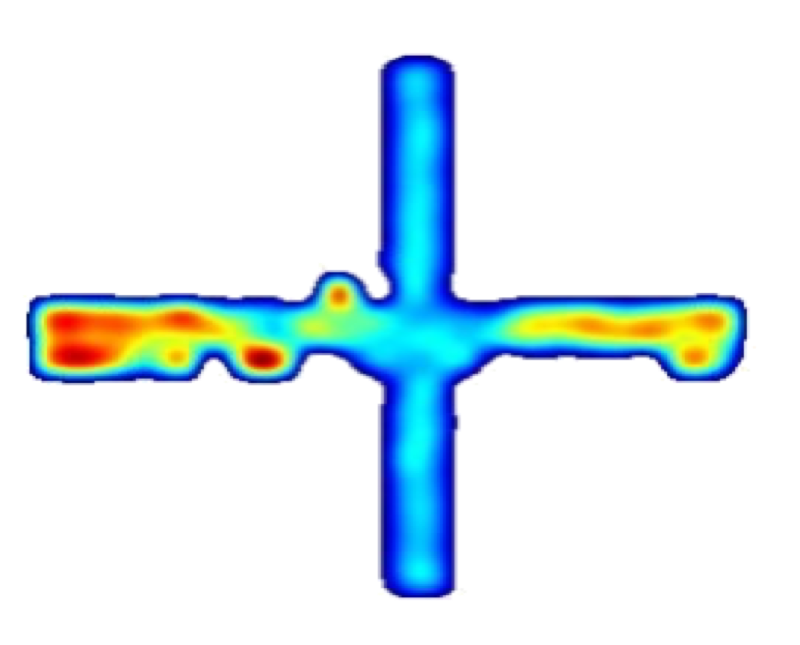 Firing rate heat map of brainstem cell in the plus maze